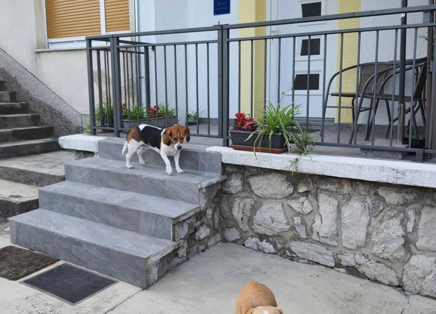 Apartman Sandra Rijeka